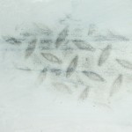 IMGP1537