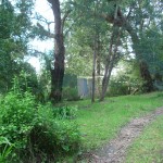 IMGP0060