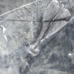 IMGP6359