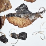 Jenny Davis_TextileWax _11 s