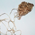 Jenny Davis_TextileWax _22